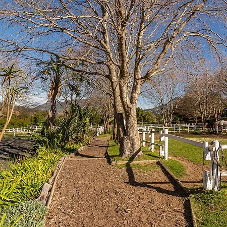 Novelle Vista Cottage Hout Bay Exteriér fotografie